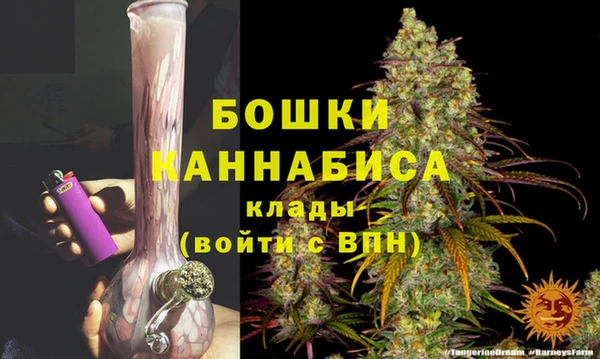 винт Нягань