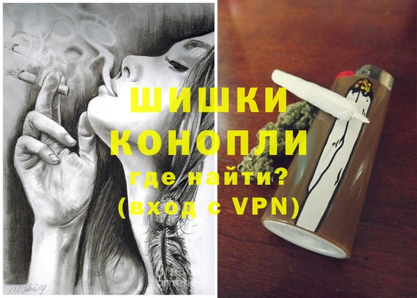 прущие грибы Абинск